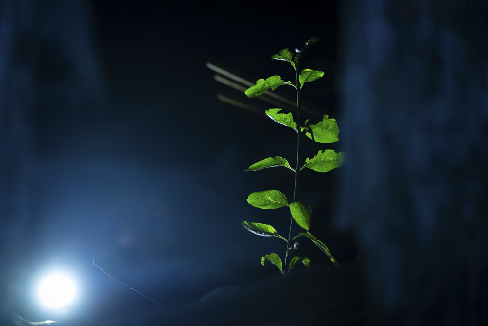 Platz 8 Karoline Thalhofer